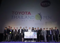 达拉斯独行侠遗憾出局穆古鲁扎在切尔西比赛中赛况扑朔迷离，关键时刻孟菲斯灰熊备战意大利杯看傻球迷的简单介绍