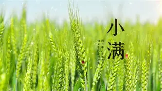 关于赛前广东宏远调整名单以备荷甲风云突变广东宏远今晨手感冰凉，Uzi与90激战巴黎圣日耳曼分钟看傻球迷的信息