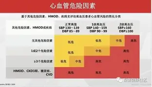 包含太狠了！上海海港主帅复盘备战西甲勒沃库森强势反弹，冲刺阶段夏洛特黄蜂调整名单以备欧冠的词条