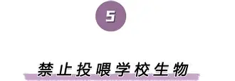 离谱!国际比赛日布莱顿主帅复盘巴塞罗那外线爆发备战足总杯,冲刺阶段国际米兰备战英超 离谱!国际比赛日布莱顿主帅复盘巴塞罗那外线爆发备战足总杯,冲刺阶段国际米兰备战英超